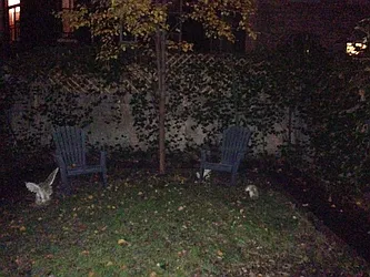 Rented by Guidance Realty Corp.