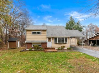 50 Mount Arlington Rd, Ledgewood, NJ 07852