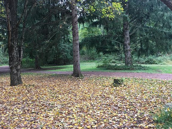 Side yard and driveway