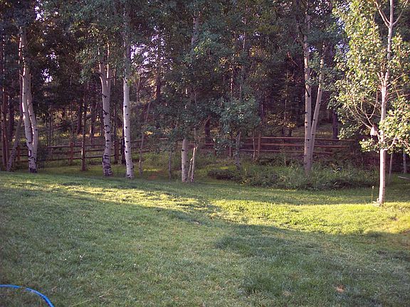 Large treed back yard