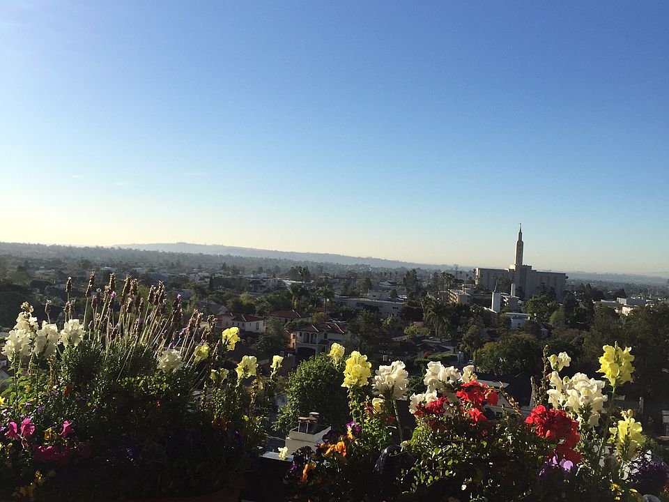 2nd image of 10750 Wilshire Blvd APT 506
