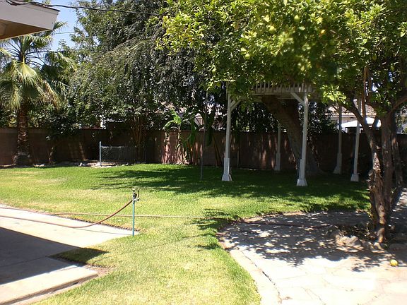 Spacious & Lush Backyard