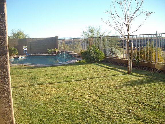 GRASSY BACK YARD