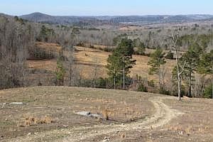 2nd image of 6075 Marion County