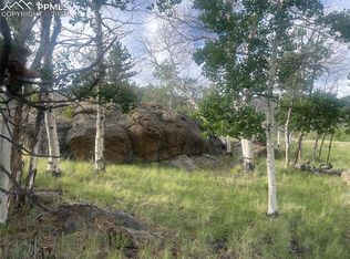 170 Emerald Way, Lake George, CO 80827