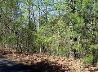 3 Cohutta Overlook Dr, Blue Ridge, GA 30513