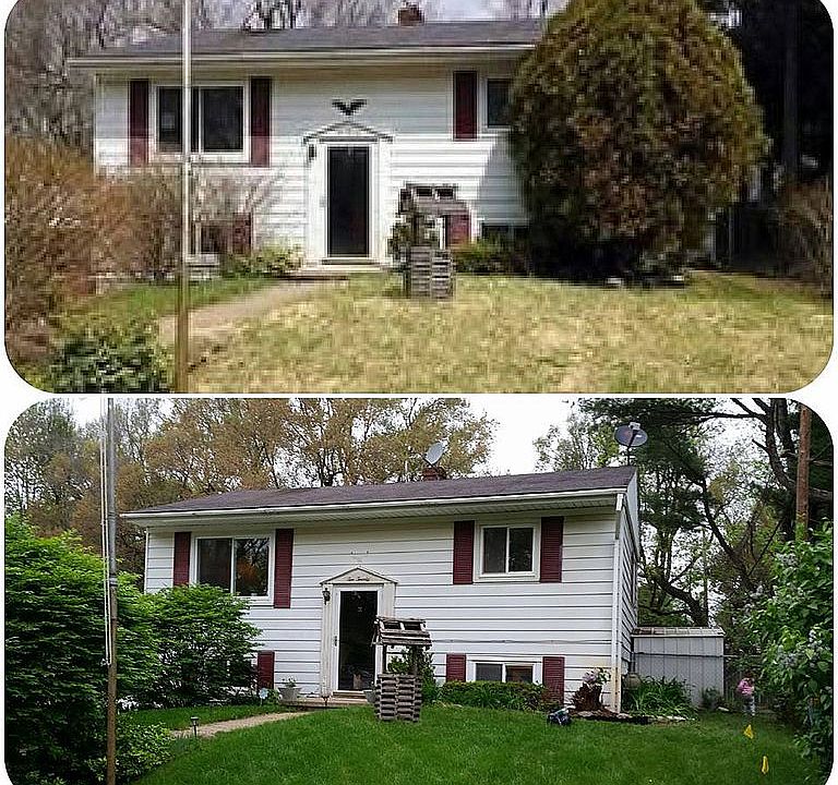 Before & After Tree Removal