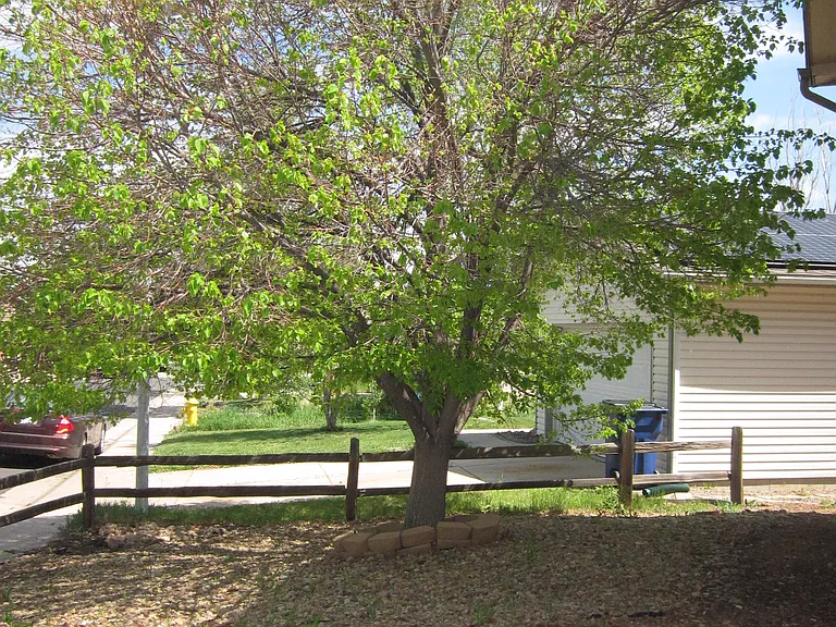 4236 S Halifax Ct — Photo 16
