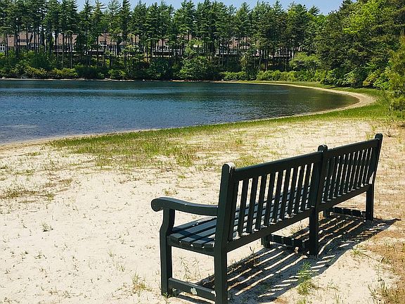  Pond/beach behind house