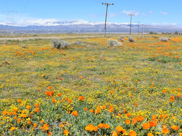 Corner Ave W #C12, Lancaster, CA 93536