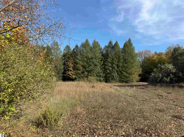 PARCEL 9 S Tower Rd, Maple City, MI 49664