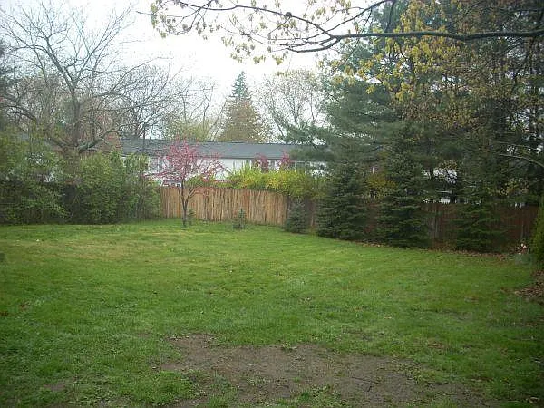 261 Elm St — Photo 4