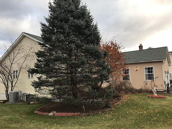 5th image of 1771 Rhine Pl