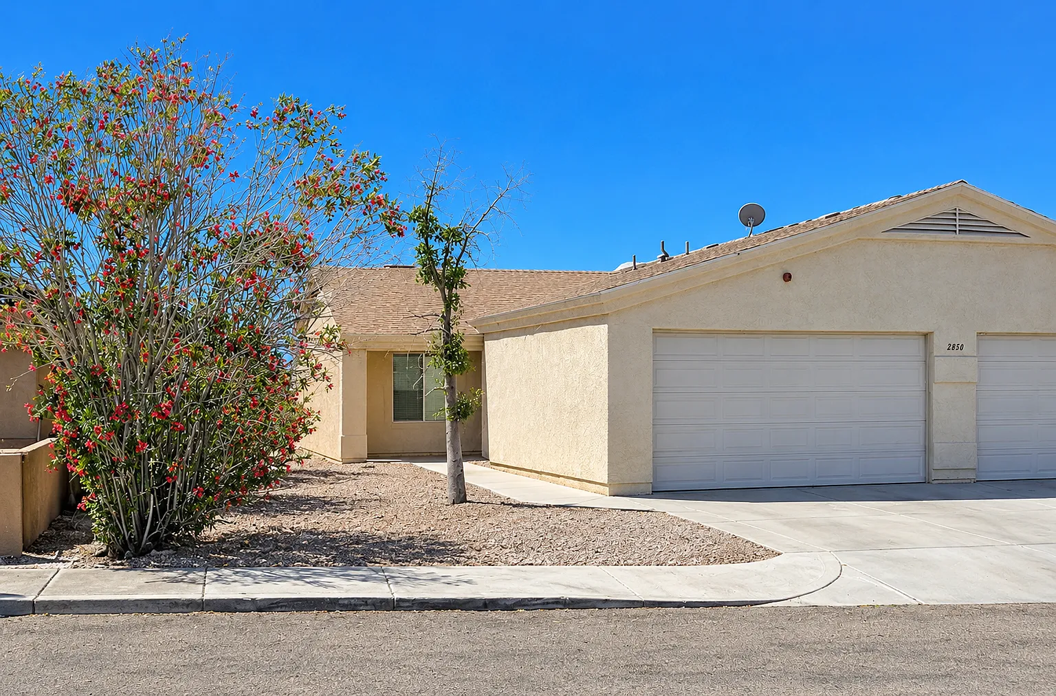 2 bed, 1010 sqft, $1,450 — Photo 1