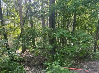 LOT Big Wolf Ln, Eagle River, WI 54521