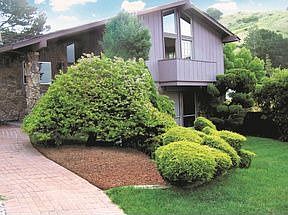 2nd image of 2781 Hamilton Dr