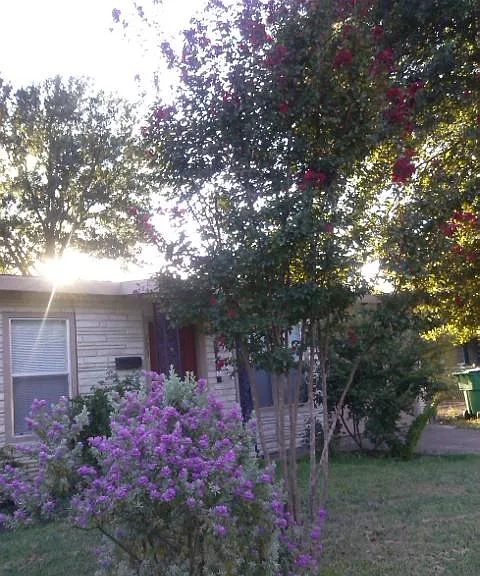 723 Hogan Dr — Photo 9