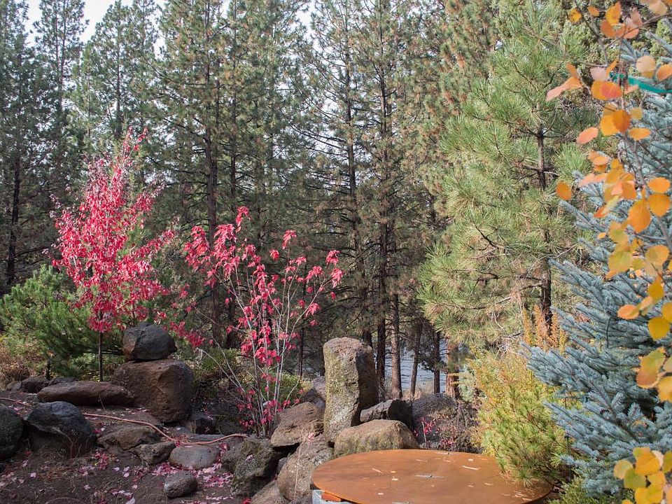Outdoor view from inside