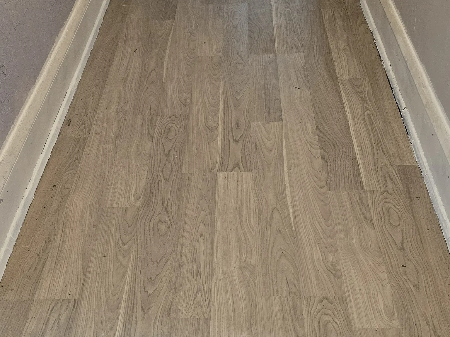 2 bed, 800 sqft, $700 — Photo 4
