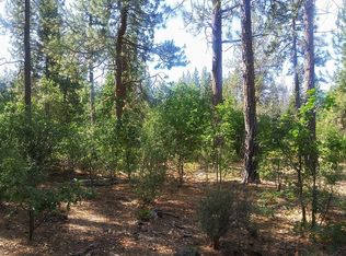 0 Pit Rd, McArthur, CA 96056