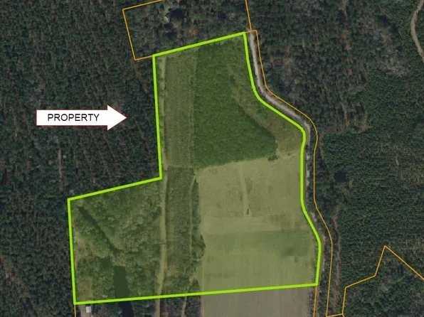 TBD Womack Rd., Nichols, SC 29581