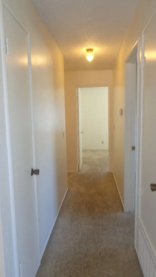 2 Bedroom Condo — Photo 3