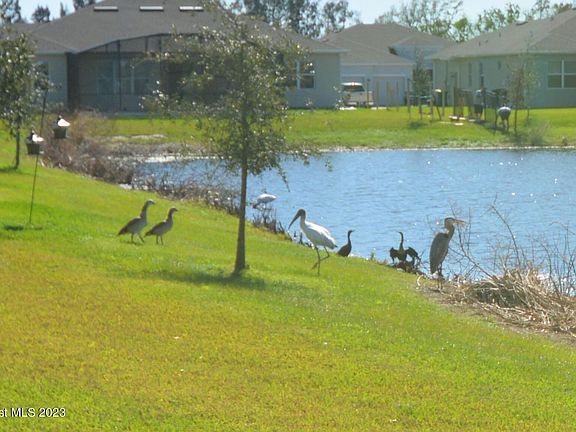 5th image of 235 Loymer Cir