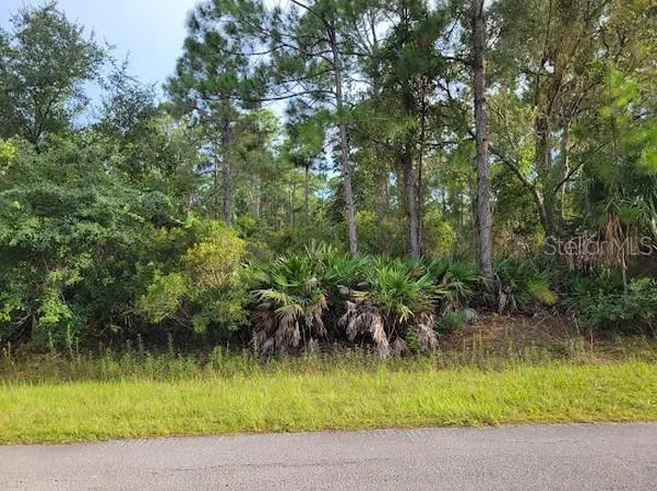 101 MIMOSA STREET LOT 8, GEORGETOWN, FL 32139