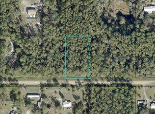 Theresa St, Hastings, FL 32145