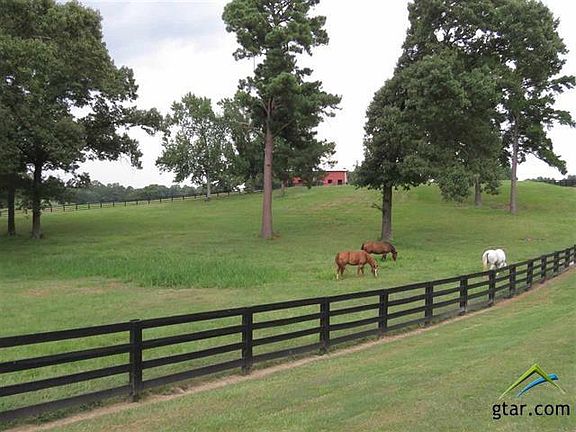 3rd image of 17317 State Highway 31 E