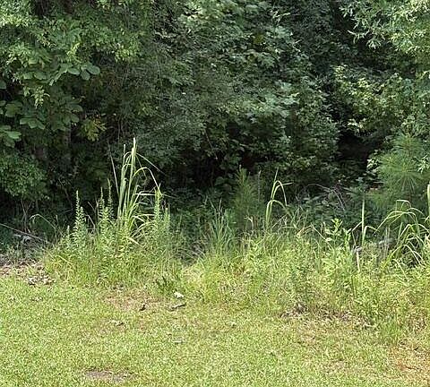 2nd image of Island Ford Rd