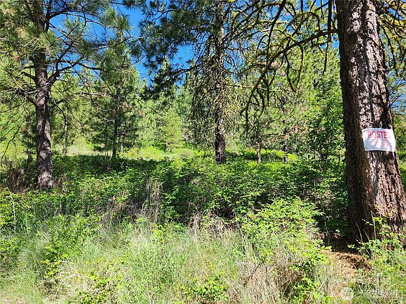 3rd image of 0 Gold Mountain Road