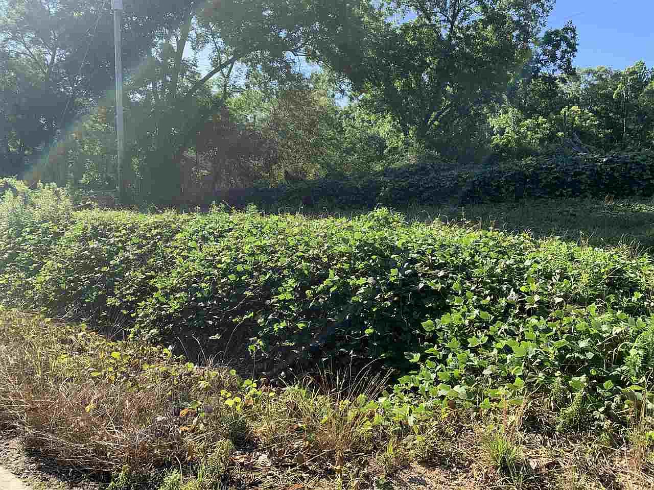 4445 Davis Rd, Dry Branch, GA 31020 Zillow