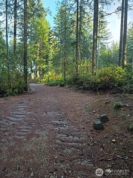 5th image of 0 Lot #55 NE Collins (80 Collins Dr.) Drive