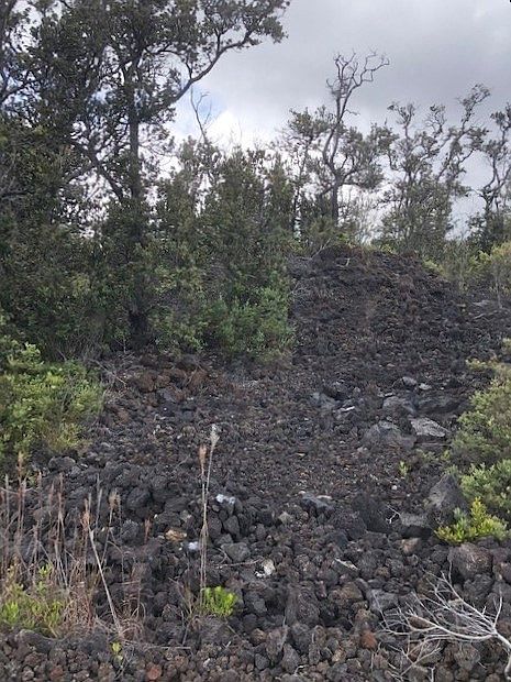 1st image of Palm Pkwy Lot 29