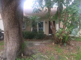 10931 Brightside Dr, Tampa, FL 33624