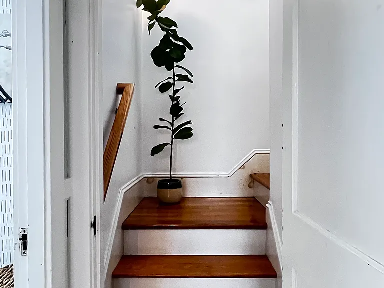 56 Alden St — Photo 10