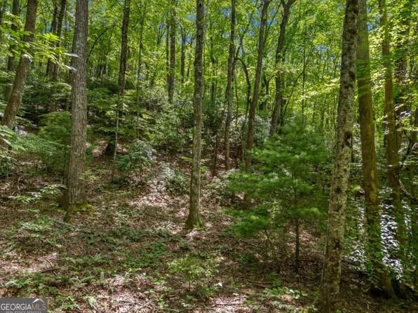 0 Paradise Ln, Blue Ridge, GA 30513