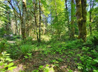 10007 Railroad Ave, Glacier, WA 98244