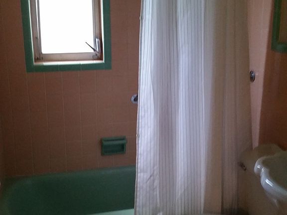 Main bath tub and shower, other bath is shower