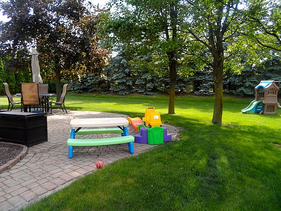 back yard