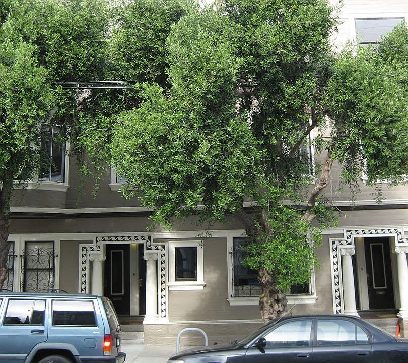 1st image of 89-99 Walter St