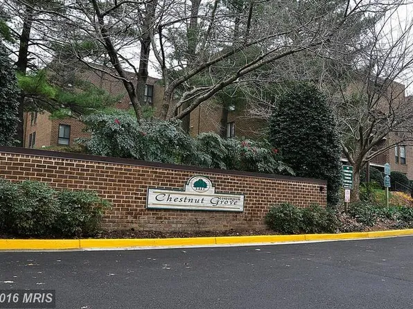 11232 Chestnut Grove Sq APT 336, Reston, VA 20190
