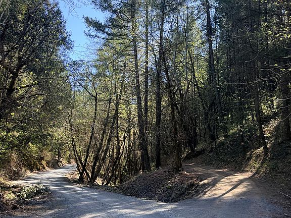 3rd image of 6400 Shoo Fly Rd