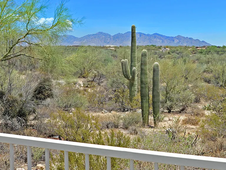 12866 N High Hawk Dr — Photo 14