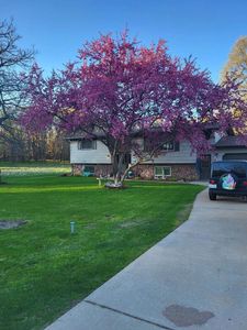 392/394 Woodbridge Way, Nekoosa, WI, 54457