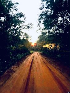 0 E Bear Hollow Trl, Greenville, FL, 32331