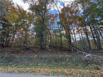 Bee Ridge Rd, Leon, WV, 25123