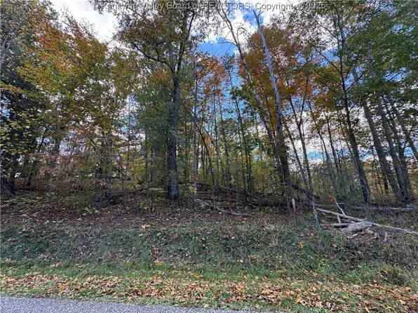 Bee Ridge Rd, Leon, WV 25123