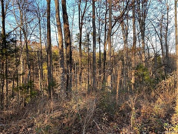 5th image of 6524 Mintbrook Dr